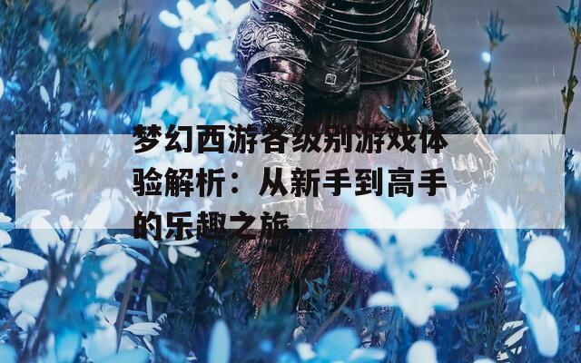 梦幻西游各级别游戏体验解析：从新手到高手的乐趣之旅