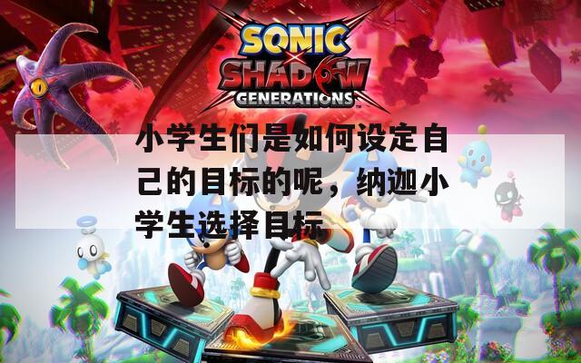 小学生们是如何设定自己的目标的呢，纳迦小学生选择目标